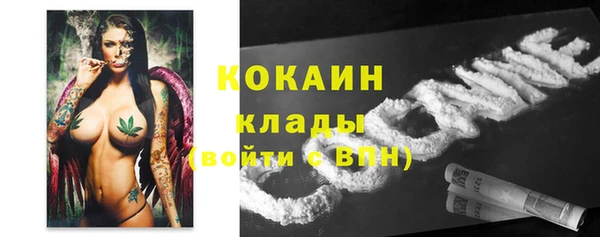 гидропоника Арсеньев