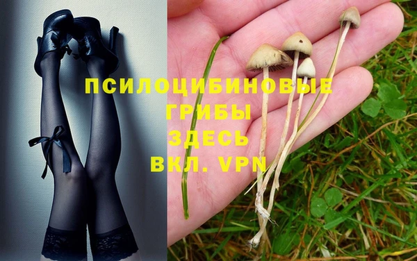 гидропоника Арсеньев