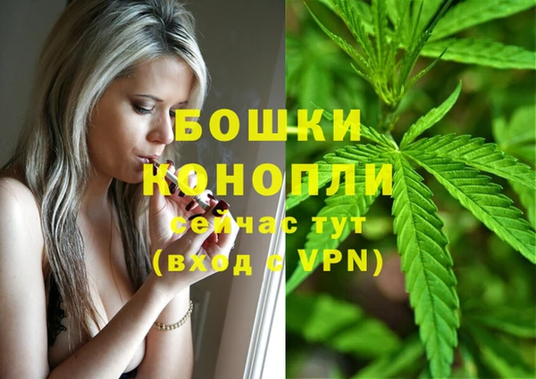 гидропоника Арсеньев