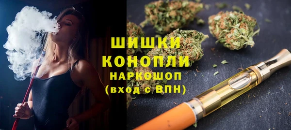 Альфа ПВП Аркадак
