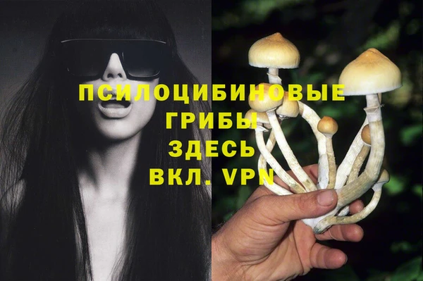 Альфа ПВП Аркадак